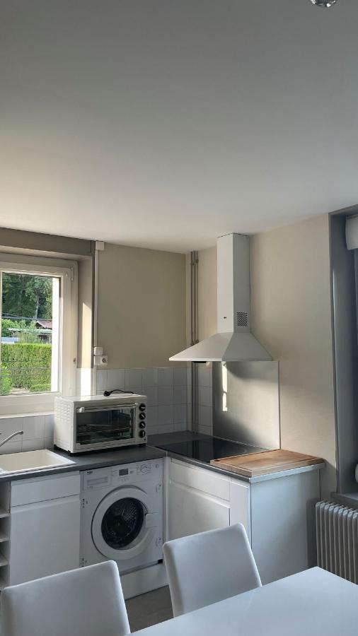 Appartement La Fourmi Verte Bruyeres エクステリア 写真